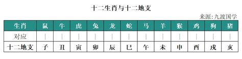 1989生肖|1989年属什么生肖 1989年是什么生肖年